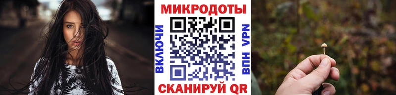 Купить где  Мариинский Посад  Псилоцибиновые грибы прущие грибы 